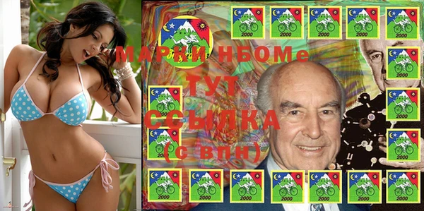 индика Алзамай