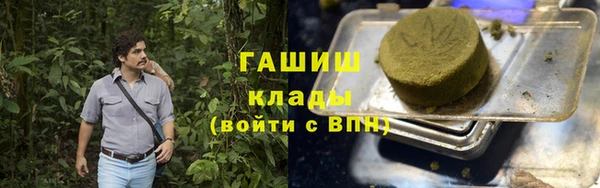 индика Алзамай