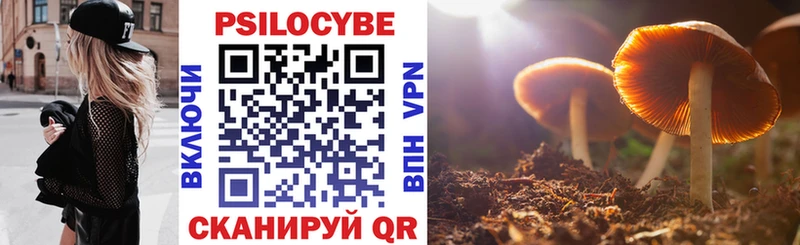 магазин продажи   ссылка на мегу   Псилоцибиновые грибы Magic Shrooms  Чайковский 
